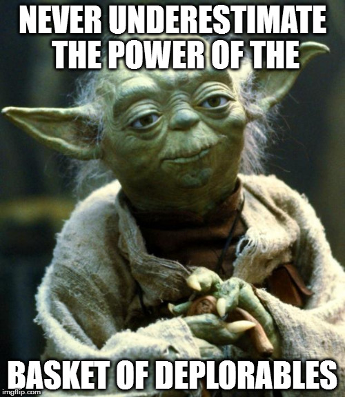 Star Wars Yoda | NEVER UNDERESTIMATE THE POWER OF THE; BASKET OF DEPLORABLES | image tagged in memes,star wars yoda | made w/ Imgflip meme maker