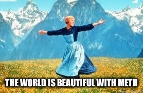 Look At All These | THE WORLD IS BEAUTIFUL WITH METH | image tagged in memes,look at all these | made w/ Imgflip meme maker