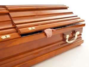 High Quality Coffin Blank Meme Template