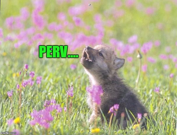 PERV.... | made w/ Imgflip meme maker