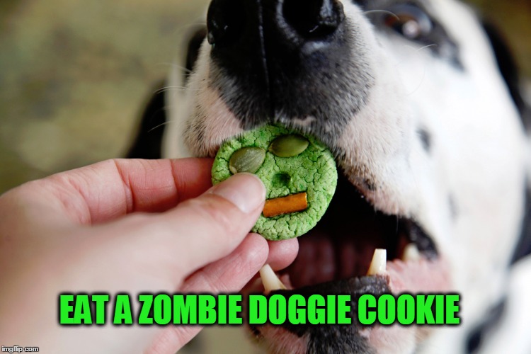 EAT A ZOMBIE DOGGIE COOKIE | made w/ Imgflip meme maker