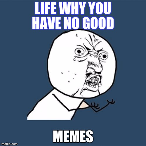 Y U No | LIFE WHY YOU HAVE NO GOOD; MEMES | image tagged in memes,y u no | made w/ Imgflip meme maker