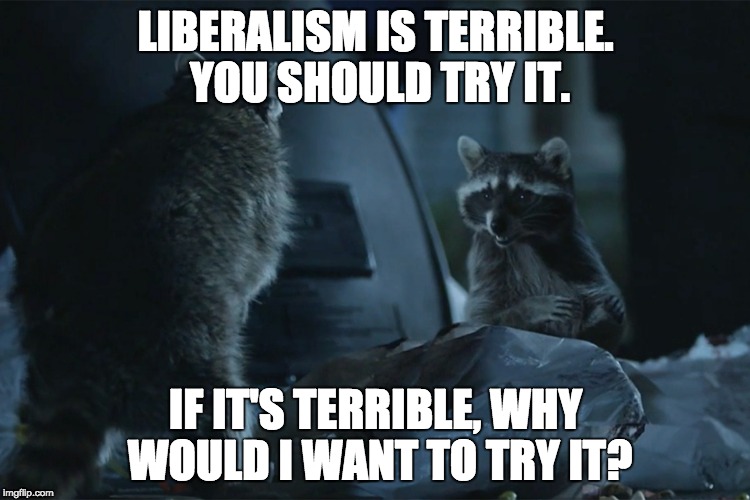 Liberalism tastes like mango chutney and burnt hair. I can't get the taste out of my mouth! | LIBERALISM IS TERRIBLE. YOU SHOULD TRY IT. IF IT'S TERRIBLE, WHY WOULD I WANT TO TRY IT? | image tagged in geico raccoons | made w/ Imgflip meme maker
