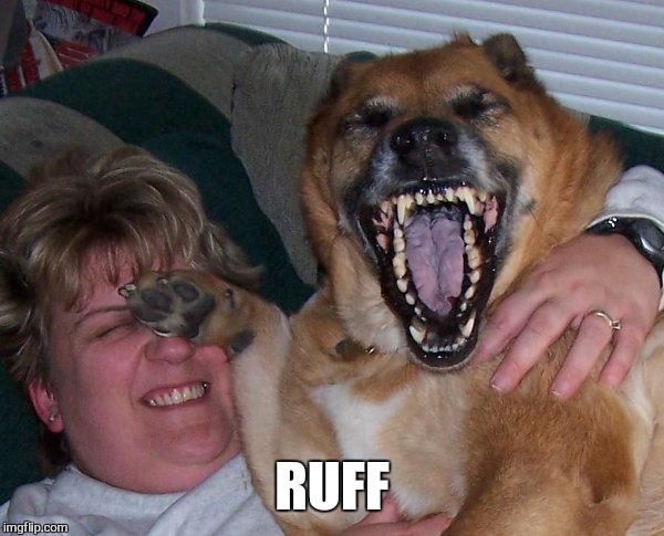laughing dog | RUFF | image tagged in laughing dog | made w/ Imgflip meme maker