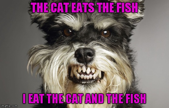 THE CAT EATS THE FISH I EAT THE CAT AND THE FISH | made w/ Imgflip meme maker