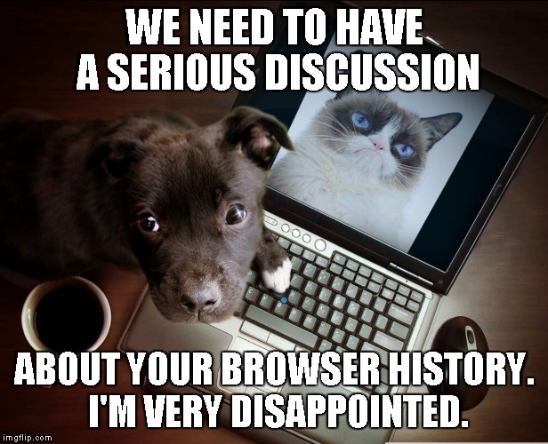 Dog Finds Internet meme | WE NEED TO HAVE A SERIOUS DISCUSSION; ABOUT YOUR BROWSER HISTORY. I'M VERY DISAPPOINTED. | image tagged in memes,dog finds internet | made w/ Imgflip meme maker