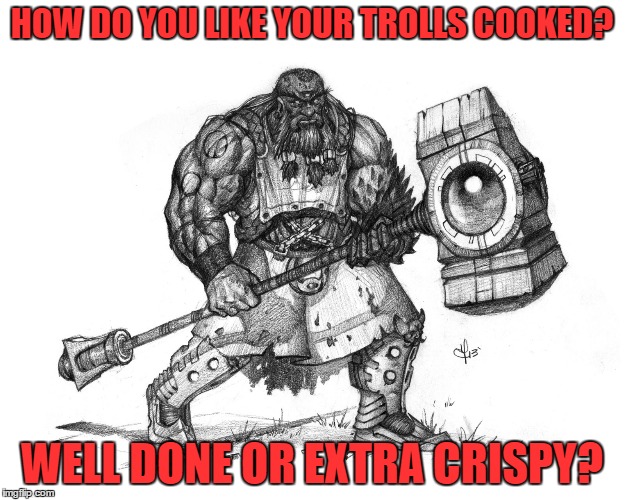 Troll Smasher | HOW DO YOU LIKE YOUR TROLLS COOKED? WELL DONE OR EXTRA CRISPY? | image tagged in troll smasher | made w/ Imgflip meme maker