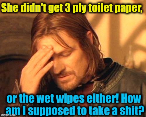 She didn't get 3 ply toilet paper, or the wet wipes either! How am I supposed to take a shit? | made w/ Imgflip meme maker