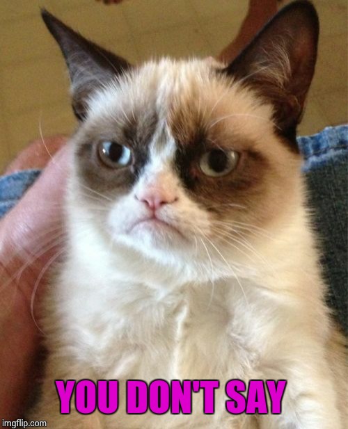 Grumpy Cat Meme | YOU DON'T SAY | image tagged in memes,grumpy cat | made w/ Imgflip meme maker