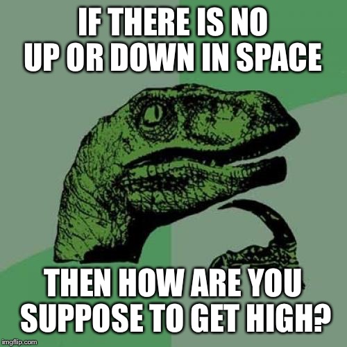 Philosoraptor | IF THERE IS NO UP OR DOWN IN SPACE; THEN HOW ARE YOU SUPPOSE TO GET HIGH? | image tagged in memes,philosoraptor | made w/ Imgflip meme maker