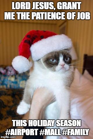 Grumpy Cat Christmas Meme | LORD JESUS, GRANT ME THE PATIENCE OF JOB; THIS HOLIDAY SEASON #AIRPORT #MALL #FAMILY | image tagged in memes,grumpy cat christmas,grumpy cat | made w/ Imgflip meme maker