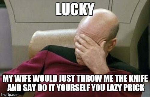 Captain Picard Facepalm Meme | LUCKY MY WIFE WOULD JUST THROW ME THE KNIFE AND SAY DO IT YOURSELF YOU LAZY PRICK | image tagged in memes,captain picard facepalm | made w/ Imgflip meme maker