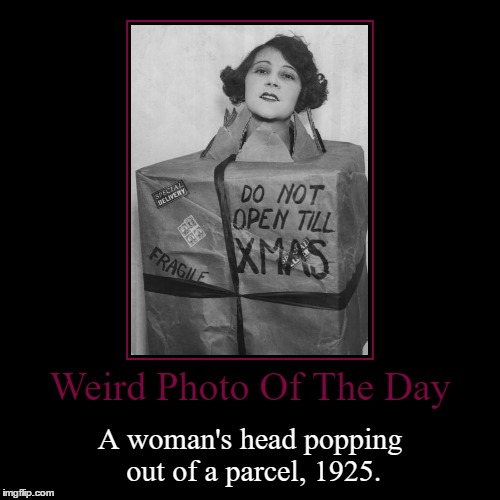 Not Sure If This Is A Costume Or She Actually Shipped Herself In This... | image tagged in funny,demotivationals,weird,photo of the day,woman,parcel | made w/ Imgflip demotivational maker