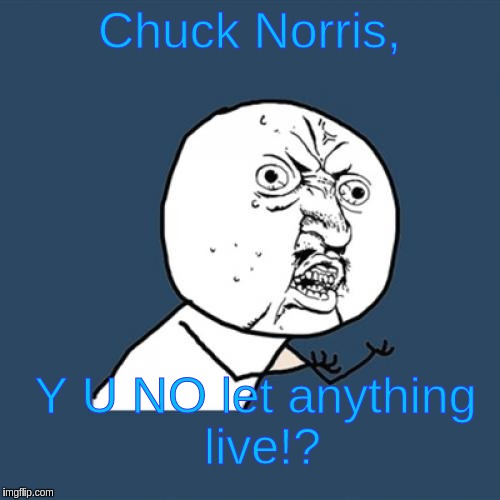 Y U No | Chuck Norris, Y U NO let anything live!? | image tagged in memes,y u no | made w/ Imgflip meme maker