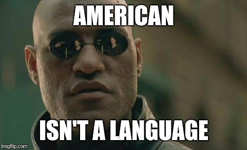 Matrix Morpheus Meme | AMERICAN ISN'T A LANGUAGE | image tagged in memes,matrix morpheus | made w/ Imgflip meme maker
