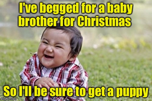 How to get a puppy for Christmas  | I've begged for a baby brother for Christmas; So I'll be sure to get a puppy | image tagged in memes,evil toddler | made w/ Imgflip meme maker