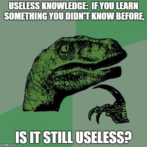 Philosoraptor | USELESS KNOWLEDGE:  IF YOU LEARN SOMETHING YOU DIDN'T KNOW BEFORE, IS IT STILL USELESS? | image tagged in memes,philosoraptor | made w/ Imgflip meme maker