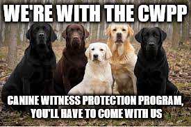 WE'RE WITH THE CWPP CANINE WITNESS PROTECTION PROGRAM, YOU'LL HAVE TO COME WITH US | made w/ Imgflip meme maker