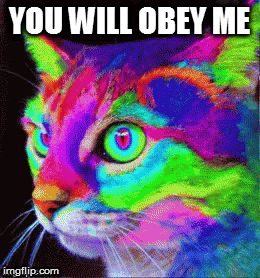 YOU WILL OBEY ME | image tagged in hypno cat | made w/ Imgflip meme maker