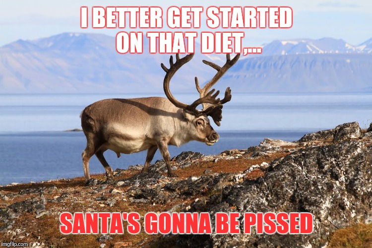 I BETTER GET STARTED ON THAT DIET,... SANTA'S GONNA BE PISSED | made w/ Imgflip meme maker