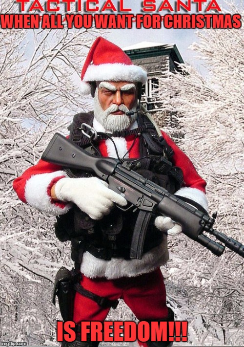 Not everyone want's toys! | WHEN ALL YOU WANT FOR CHRISTMAS; IS FREEDOM!!! | image tagged in santa | made w/ Imgflip meme maker