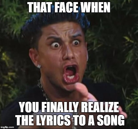 DJ Pauly D Meme | THAT FACE WHEN; YOU FINALLY REALIZE THE LYRICS TO A SONG | image tagged in memes,dj pauly d | made w/ Imgflip meme maker