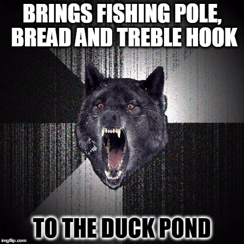 He knows the ducks will keep coming | BRINGS FISHING POLE, BREAD AND TREBLE HOOK; TO THE DUCK POND | image tagged in memes,insanity wolf | made w/ Imgflip meme maker