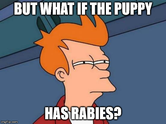 Futurama Fry Meme | BUT WHAT IF THE PUPPY HAS RABIES? | image tagged in memes,futurama fry | made w/ Imgflip meme maker