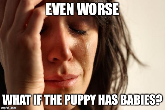 First World Problems Meme | EVEN WORSE WHAT IF THE PUPPY HAS BABIES? | image tagged in memes,first world problems | made w/ Imgflip meme maker
