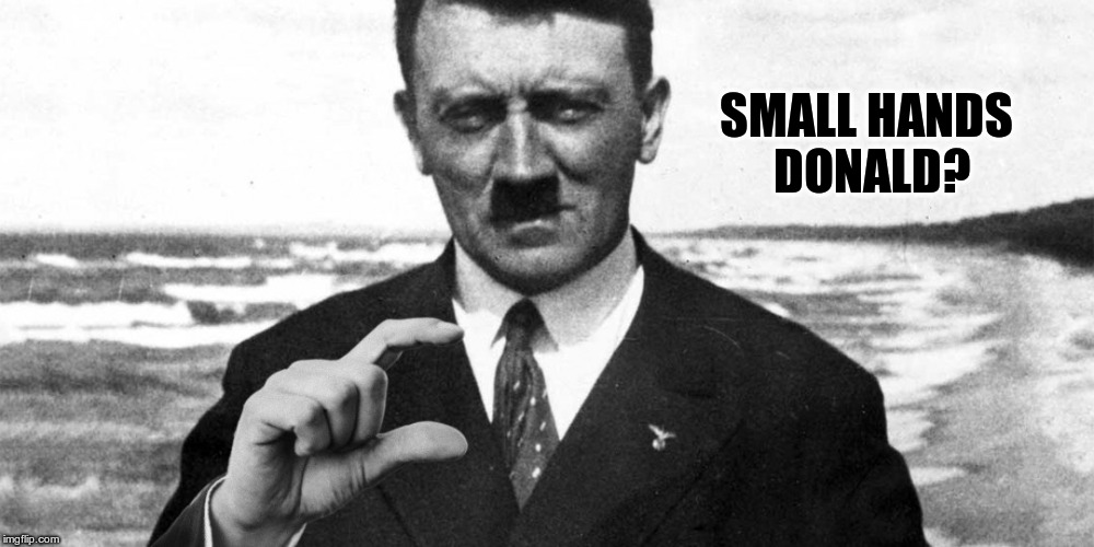 Donald's Hands are small....lol | SMALL HANDS DONALD? | image tagged in trump,small hands,hitler,republican,fascist | made w/ Imgflip meme maker