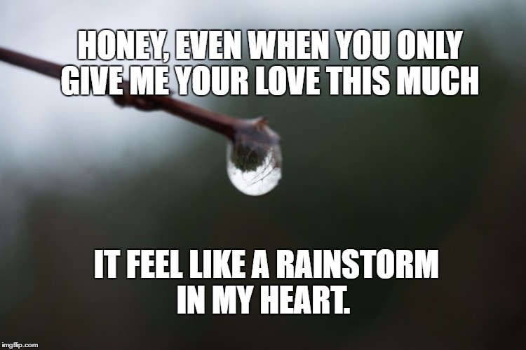 only a drop | HONEY, EVEN WHEN YOU ONLY GIVE ME YOUR LOVE THIS MUCH; IT FEEL LIKE A RAINSTORM IN MY HEART. | image tagged in love | made w/ Imgflip meme maker