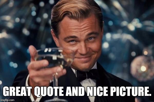 Leonardo Dicaprio Cheers Meme | GREAT QUOTE AND NICE PICTURE. | image tagged in memes,leonardo dicaprio cheers | made w/ Imgflip meme maker
