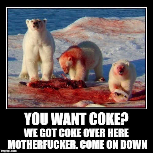YOU WANT COKE? WE GOT COKE OVER HERE MOTHERF**KER. COME ON DOWN | made w/ Imgflip meme maker