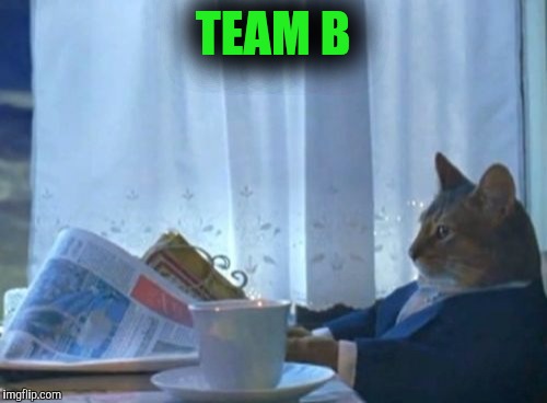 I Should Buy A Boat Cat | TEAM B | image tagged in memes,i should buy a boat cat | made w/ Imgflip meme maker