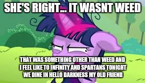 SHE'S RIGHT... IT WASNT WEED THAT WAS SOMETHING OTHER THAN WEED AND I FEEL LIKE TO INFINITY AND SPARTANS TONIGHT WE DINE IN HELLO DARKNESS M | made w/ Imgflip meme maker