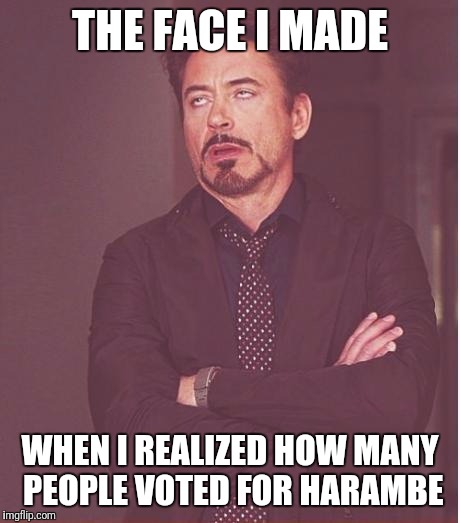 Face You Make Robert Downey Jr Meme | THE FACE I MADE WHEN I REALIZED HOW MANY PEOPLE VOTED FOR HARAMBE | image tagged in memes,face you make robert downey jr | made w/ Imgflip meme maker