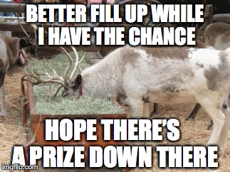 BETTER FILL UP WHILE I HAVE THE CHANCE HOPE THERE’S A PRIZE DOWN THERE | made w/ Imgflip meme maker