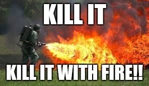 KILL IT KILL IT WITH FIRE!! | image tagged in kill it with fire | made w/ Imgflip meme maker