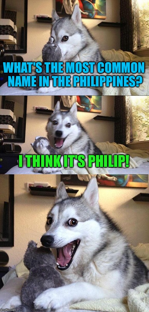 Bad Pun Dog | WHAT'S THE MOST COMMON NAME IN THE PHILIPPINES? I THINK IT'S PHILIP! | image tagged in memes,bad pun dog | made w/ Imgflip meme maker