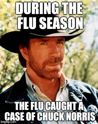Chuck Norris | DURING THE FLU SEASON; THE FLU CAUGHT A CASE OF CHUCK NORRIS | image tagged in memes,chuck norris | made w/ Imgflip meme maker