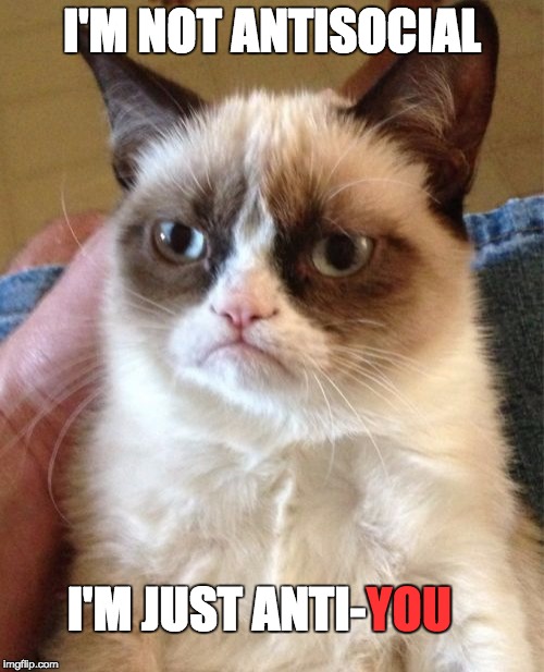 Grumpy Cat | I'M NOT ANTISOCIAL; I'M JUST ANTI-; YOU | image tagged in memes,grumpy cat | made w/ Imgflip meme maker