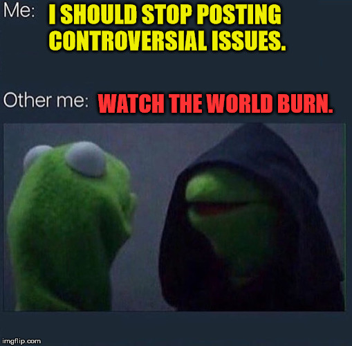Evil Kermit | I SHOULD STOP POSTING CONTROVERSIAL ISSUES. WATCH THE WORLD BURN. | image tagged in evil kermit | made w/ Imgflip meme maker