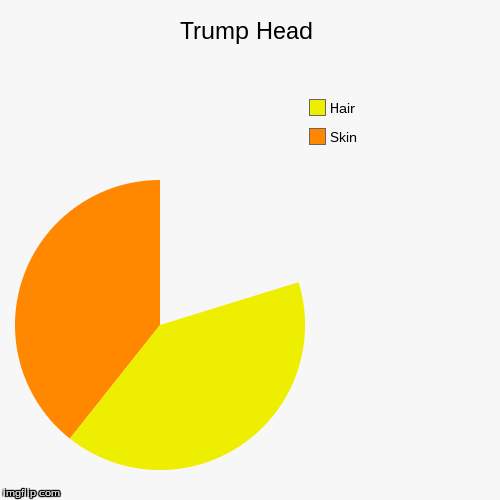 image tagged in funny,pie charts | made w/ Imgflip chart maker