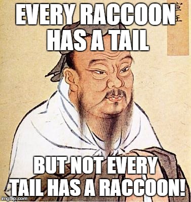 Such wise many wow | EVERY RACCOON HAS A TAIL; BUT NOT EVERY TAIL HAS A RACCOON! | image tagged in wise confucius | made w/ Imgflip meme maker