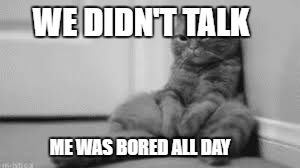 sad cat | WE DIDN'T TALK; ME WAS BORED ALL DAY | image tagged in bored,sad,cat,kitten | made w/ Imgflip meme maker