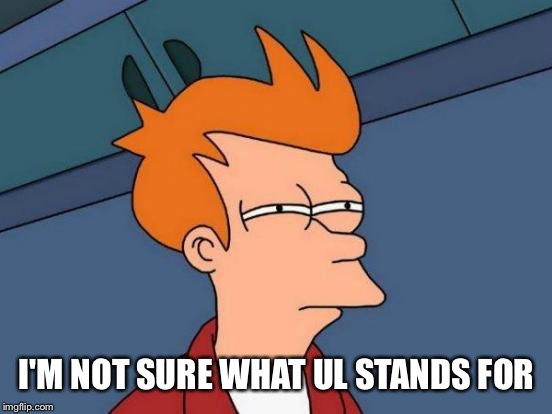 Futurama Fry Meme | I'M NOT SURE WHAT UL STANDS FOR | image tagged in memes,futurama fry | made w/ Imgflip meme maker