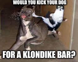 WOULD YOU KICK YOUR DOG; FOR A KLONDIKE BAR? | image tagged in karate kat | made w/ Imgflip meme maker