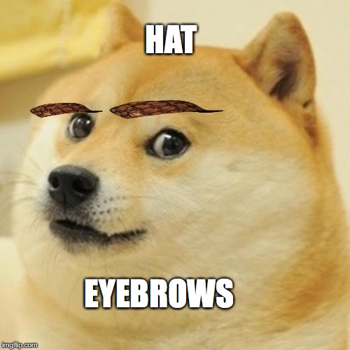 Doge | HAT; EYEBROWS | image tagged in memes,doge,scumbag | made w/ Imgflip meme maker
