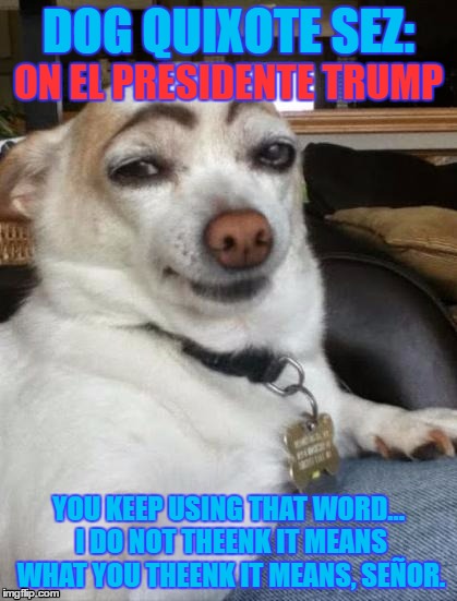 Inconceivable! | DOG QUIXOTE SEZ:; ON EL PRESIDENTE TRUMP; YOU KEEP USING THAT WORD... I DO NOT THEENK IT MEANS WHAT YOU THEENK IT MEANS, SEÑOR. | image tagged in dog memes,chihuahua,donald trump,eyebrows,princess bride,memes | made w/ Imgflip meme maker