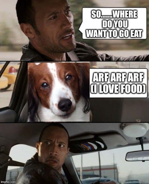 The Rock Driving | SO.......WHERE DO YOU WANT TO GO EAT; ARF ARF ARF (I LOVE FOOD) | image tagged in memes,the rock driving | made w/ Imgflip meme maker